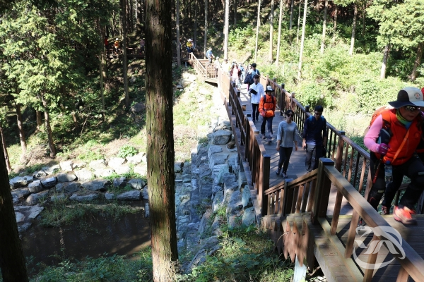 창원시가 지난달 20일 개최한 ‘코리아둘레길 힐링걷기여행 축제’ 모습. 참가자들이 편백숲을 걷고 있다.