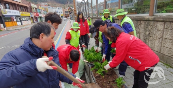지난 15일 도천동 행정복지센터는 봄을 맞이해 싱그러운 도심 환경을 조성하기 위해 봄꽃 2,100본을 심었다.
