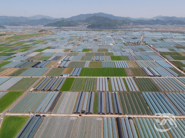농림축산식품부의 '2019년 배수개선 사업 신규지구'로 선정된 밀양시 외산 지구 전경