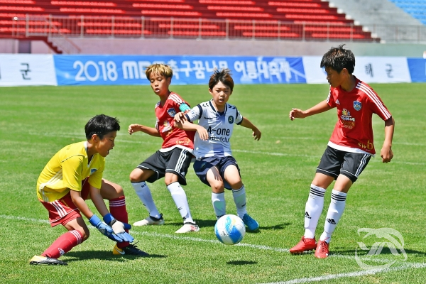 전국 유소년 축구 꿈나무들의 대잔치 ‘2019 MBC 축구 꿈나무 여름 대축제’ 가 남해에서 열린다.(
