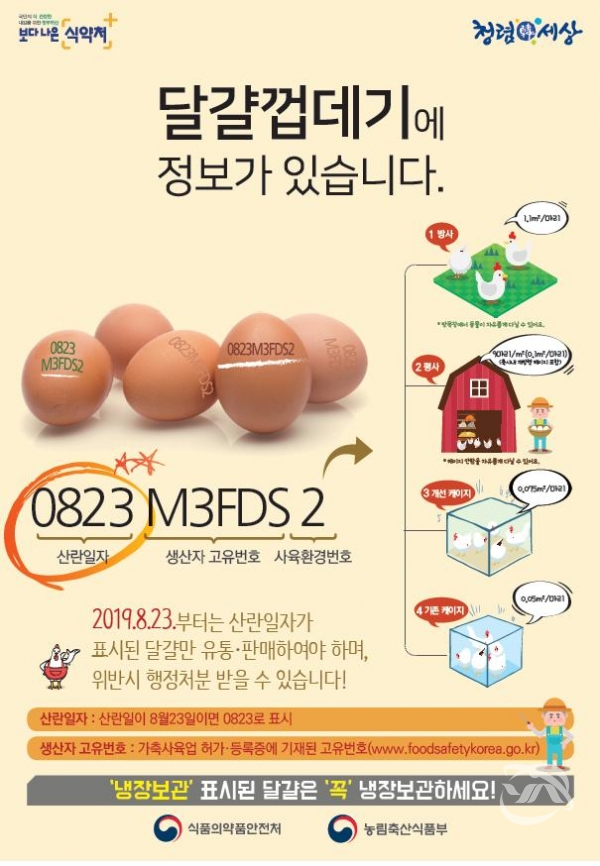 대구시에서 실시하는 '달걀 산란일자 표시제' 안내 포스터