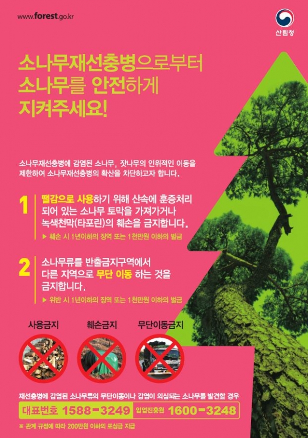 소나무재선충병 예방 홍보(사진=양산시청 제공)